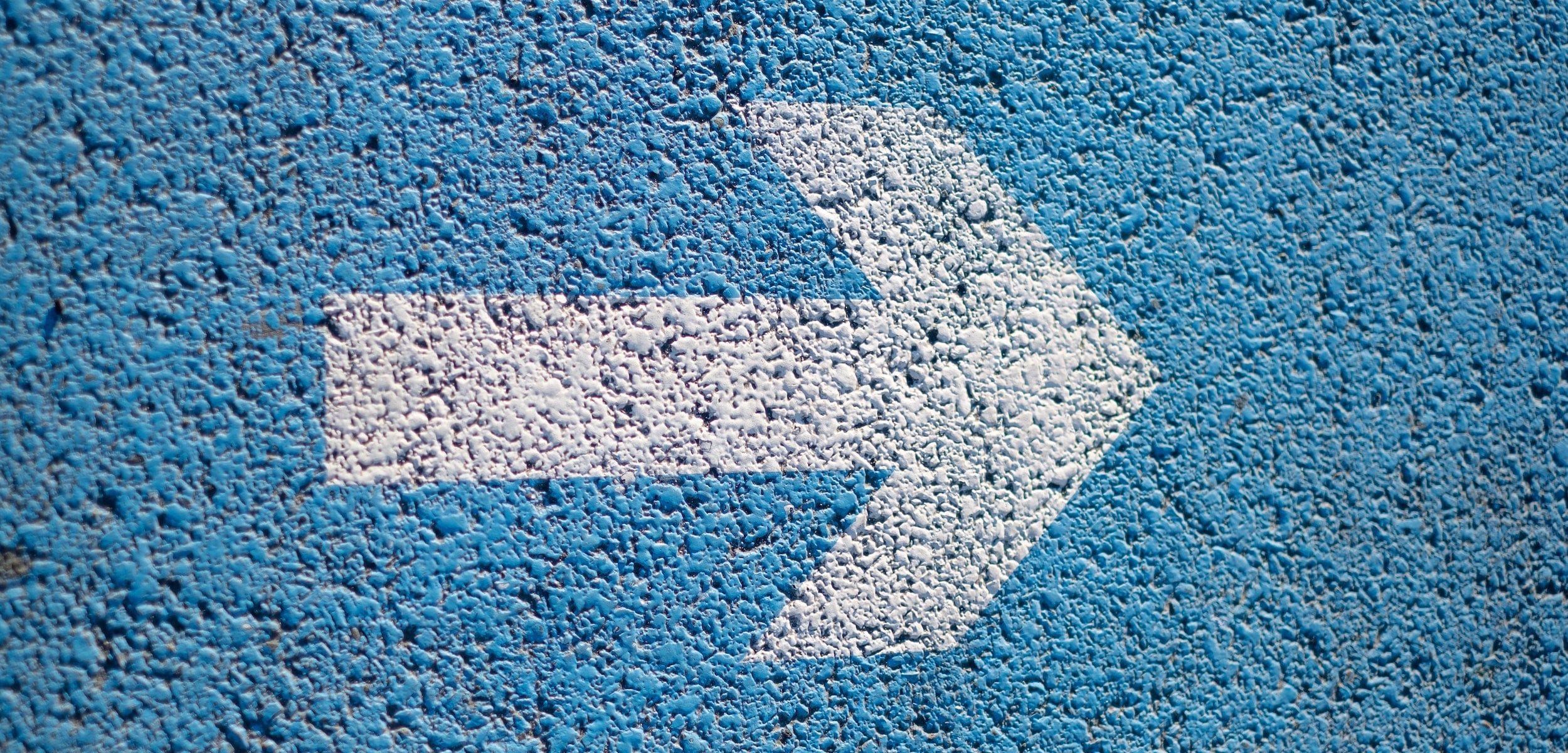Strategic advice to establish new research organisations