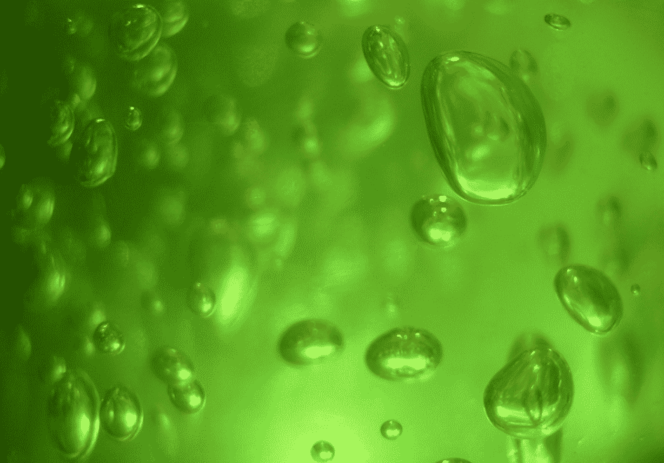 Lessons for introducing bioeconomy in Latin America