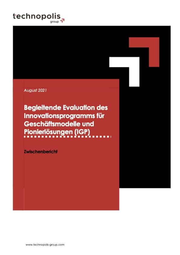 Evaluation of the Innovation Program for Business Models and Pioneering Solutions (IGP)