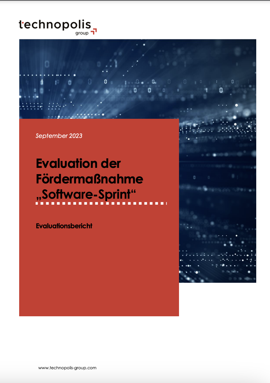 Evaluation der Fördermaßnahme “Software-Sprint”