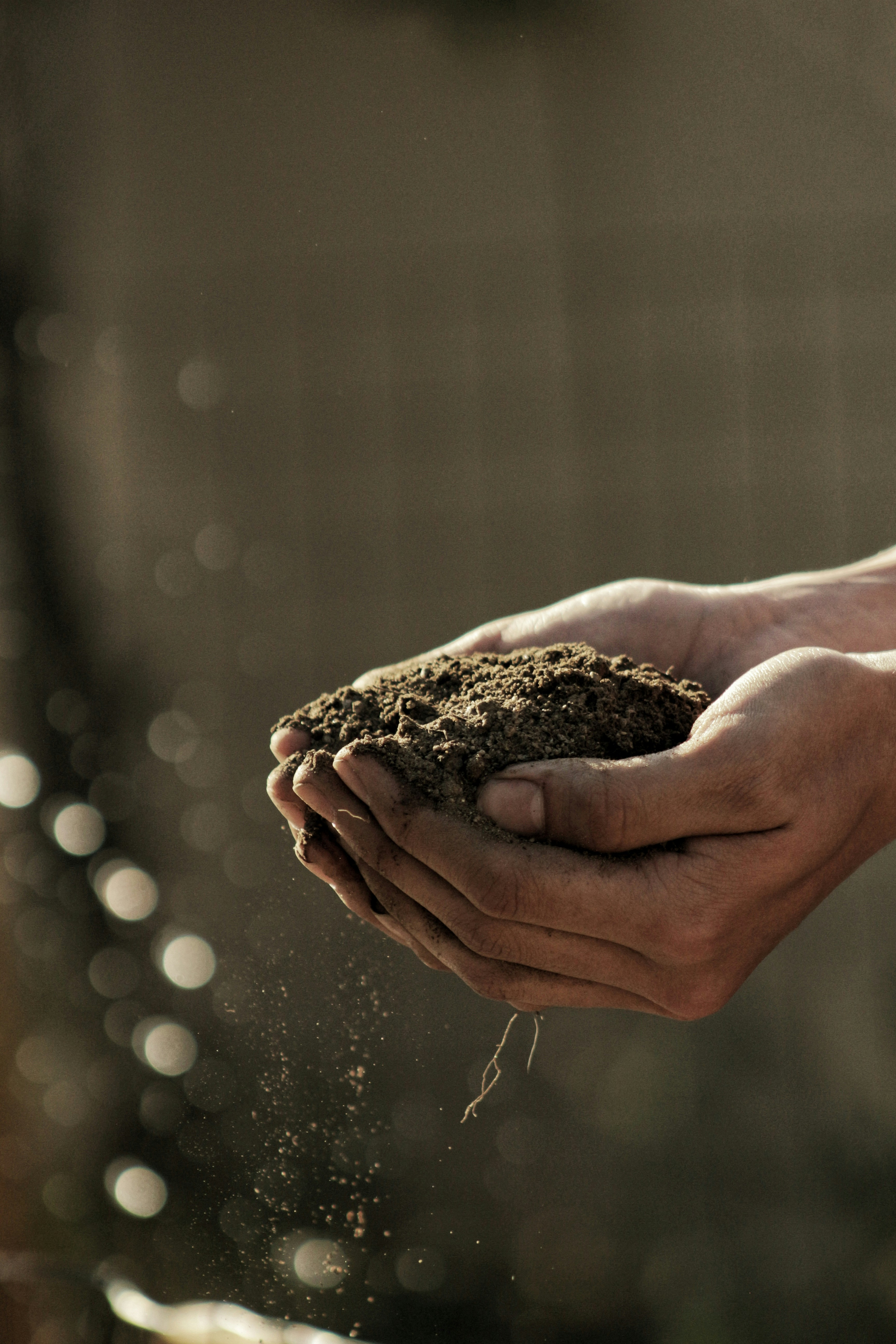 TG Africa was commissioned to conduct an appraisal of the Africa Agriculture and Trade Investment Fund (AATIF) investment of EUR 17.5 million in NSIA Bank in Cote d’Ivoire.